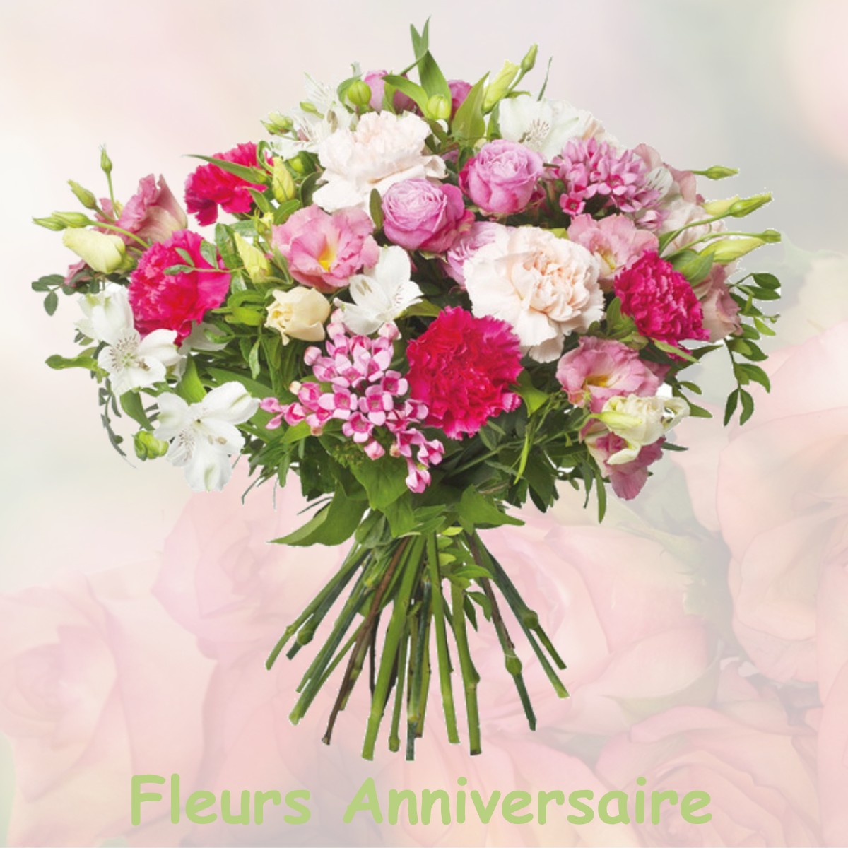 fleurs anniversaire SAINTE-ALAUZIE